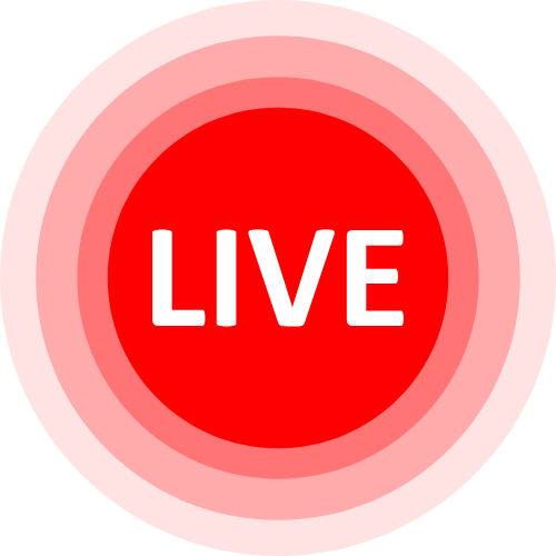 Lovense Stream Master